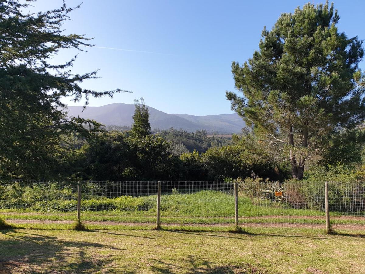 Elephant Country Guest House The Crags Экстерьер фото